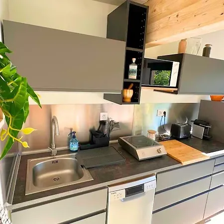 Avec Piscine Et Jacuzzi - Tiki Palm Holiday home