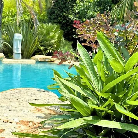 Holiday home Avec Piscine Et Jacuzzi - Tiki Palm