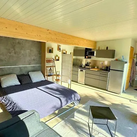 Holiday home Avec Piscine Et Jacuzzi - Tiki Palm