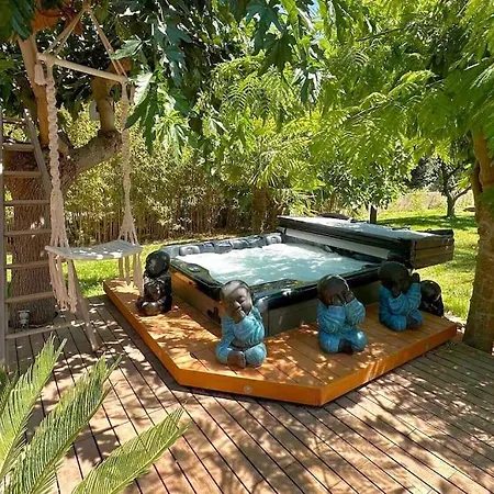 Avec Piscine Et Jacuzzi - Tiki Palm *