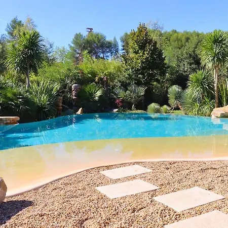 Avec Piscine Et Jacuzzi - Tiki Palm *